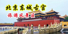 黄色一级真人操逼中国北京-东城古宫旅游风景区